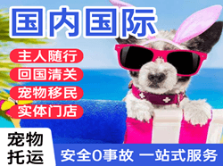 昆明长水航空运输国际宠物托运 【国